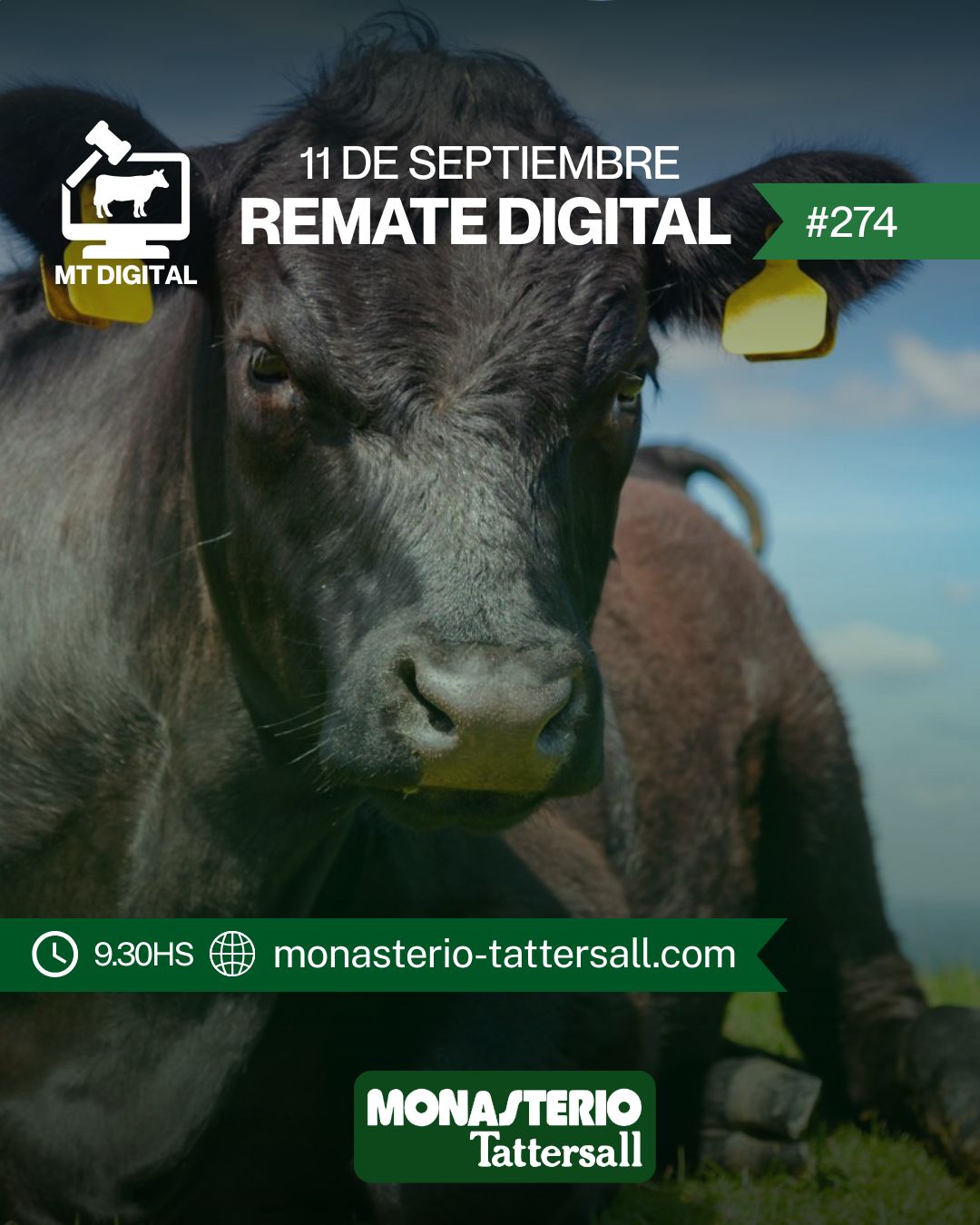 Remate Remate Digital 274°