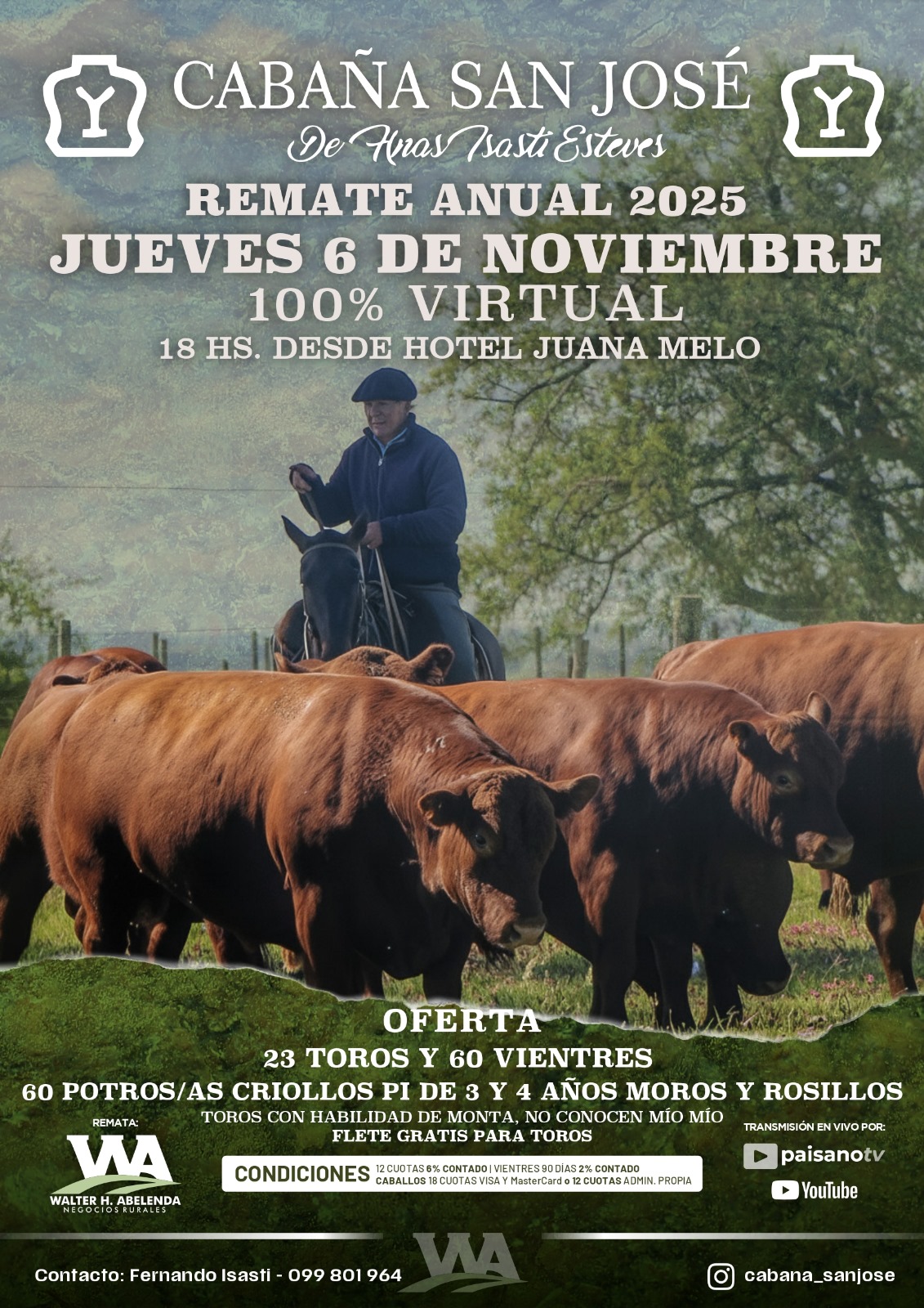 Remate Cabaña San Jose