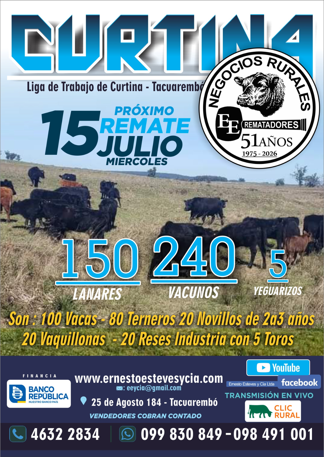 Remate Feria Mensual - Curtina