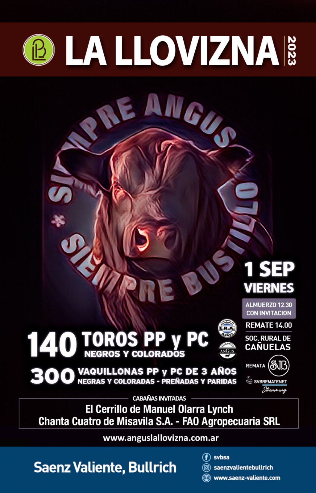 Afiche CABAÑA LA LLOVIZNA