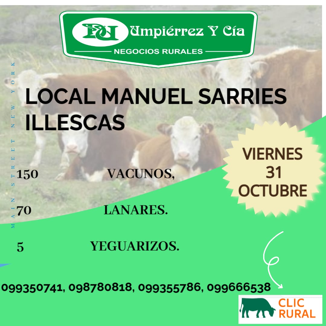 Remate Feria Mensual - Manuel Sarries