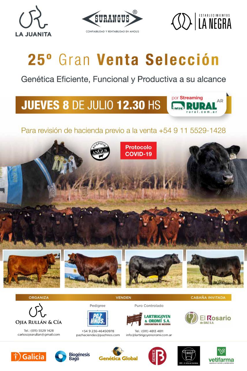 Afiche 25° Gran Venta - Cabaña La Juanita y La Negra