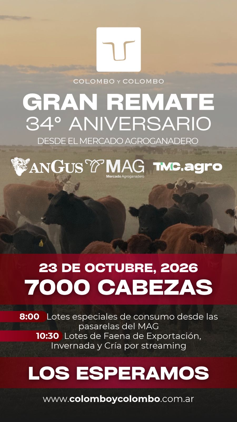 Gran remate aniversario N°34 CyC