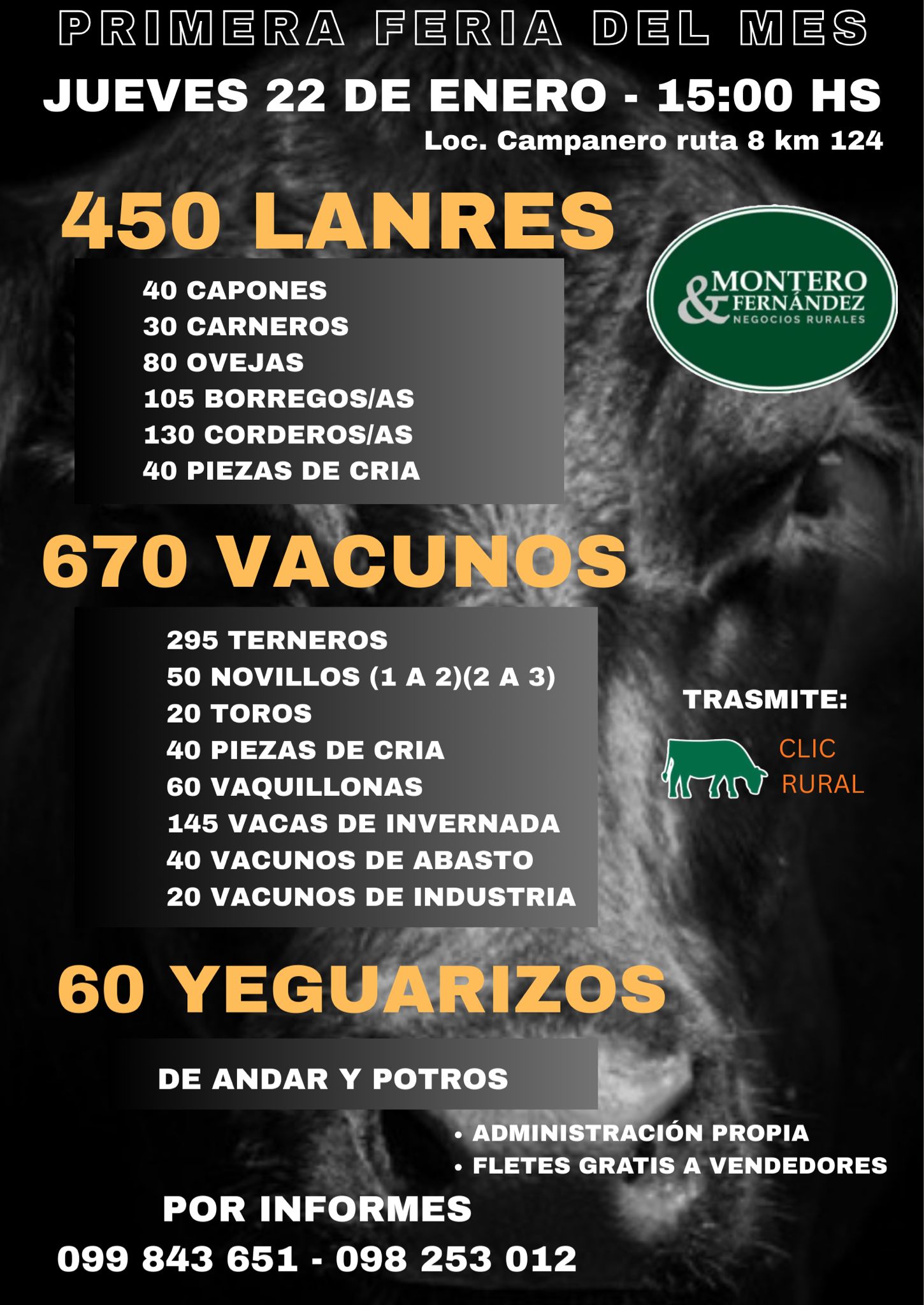 Remate Feria Mensual - Montero Fernandez