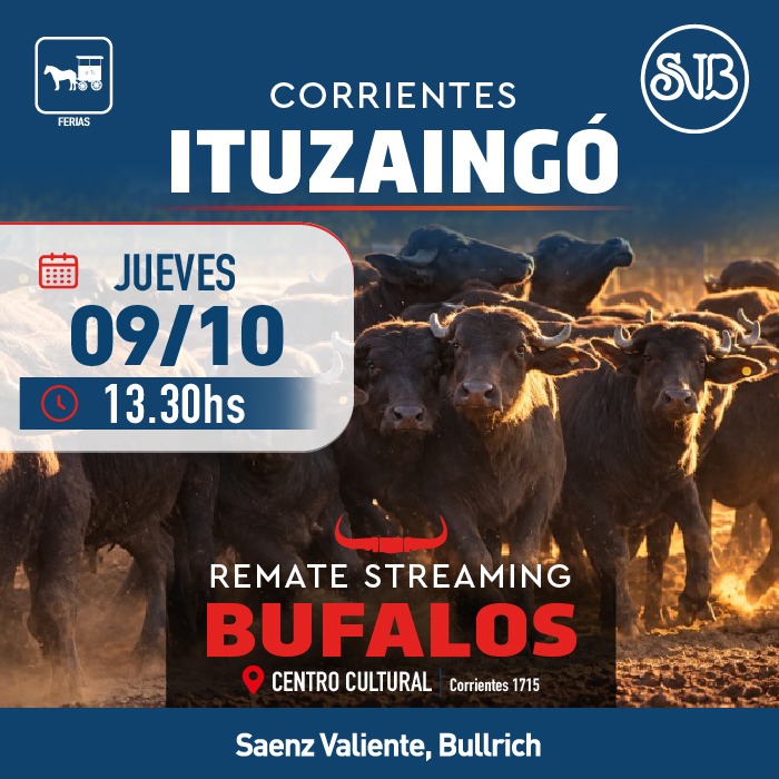 Afiche Feria en Ituzaingo