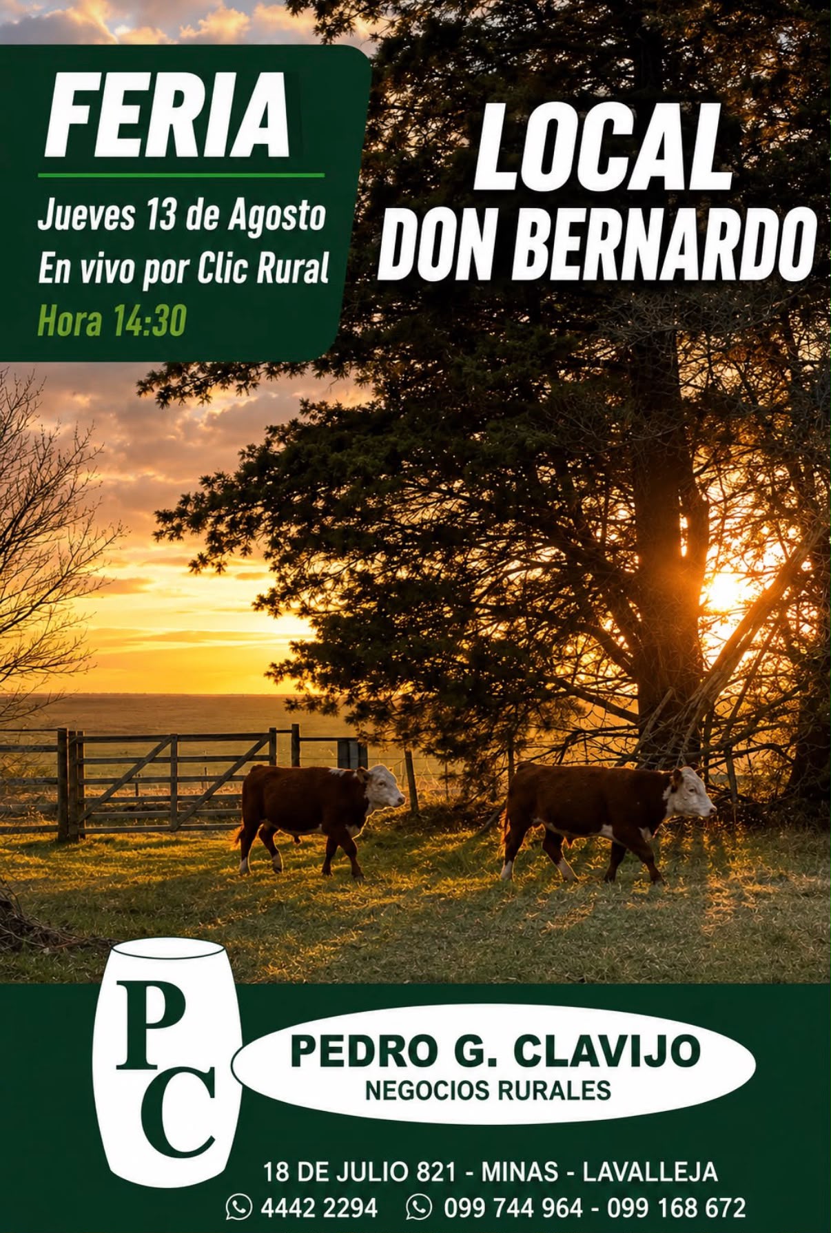Remate Feria en local Don Bernardo