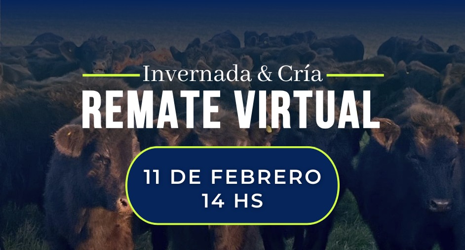 49° Remate virtual