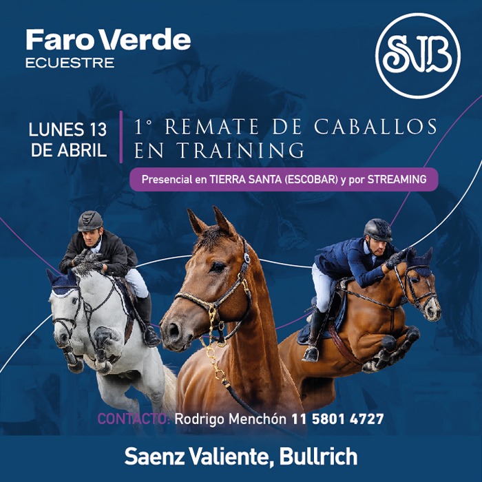 Caballos en Training