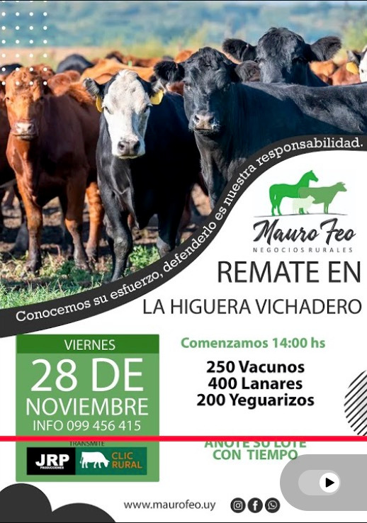 Remate Feria Mensual - Mauro Feo