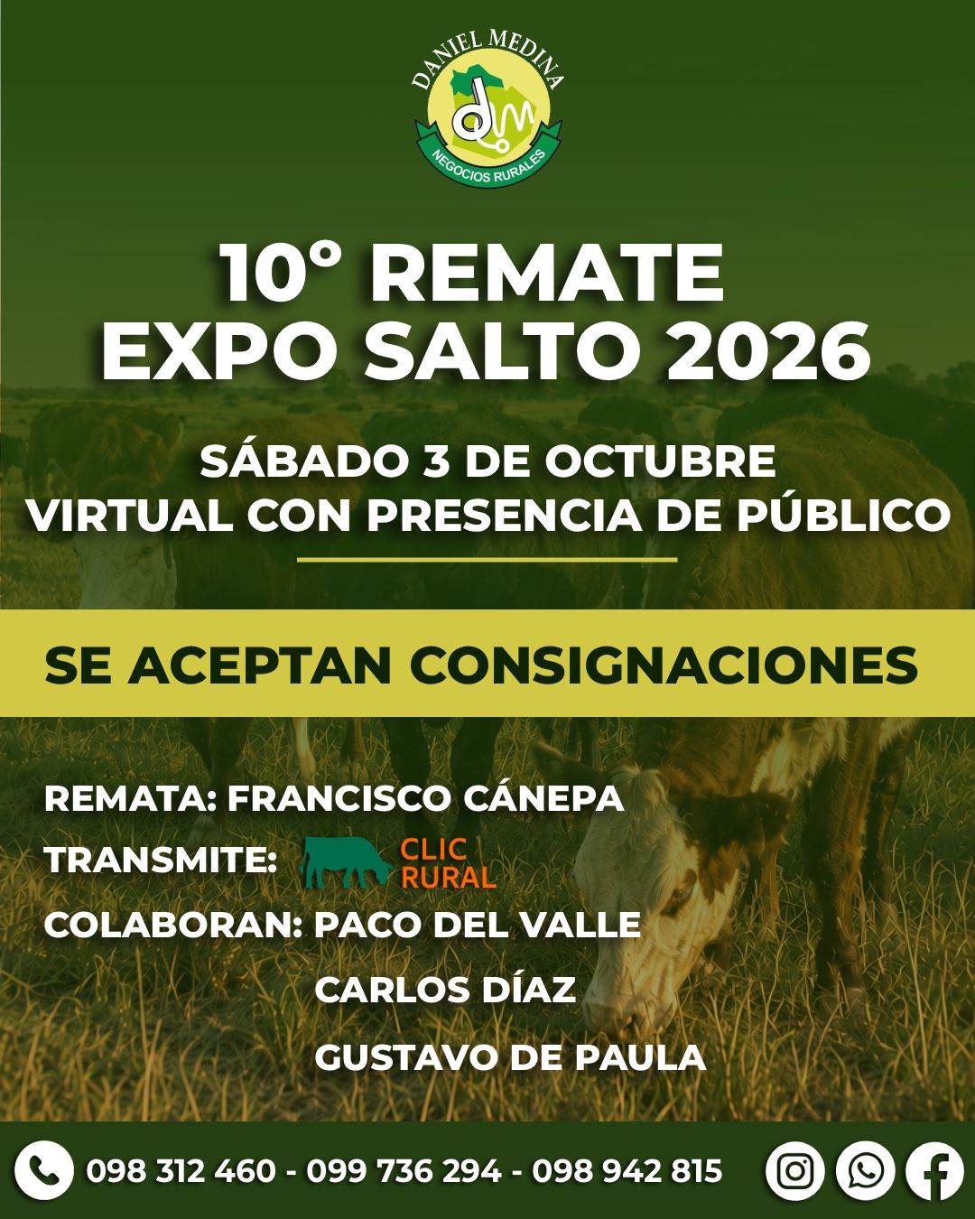 Afiche 10º Expo Salto