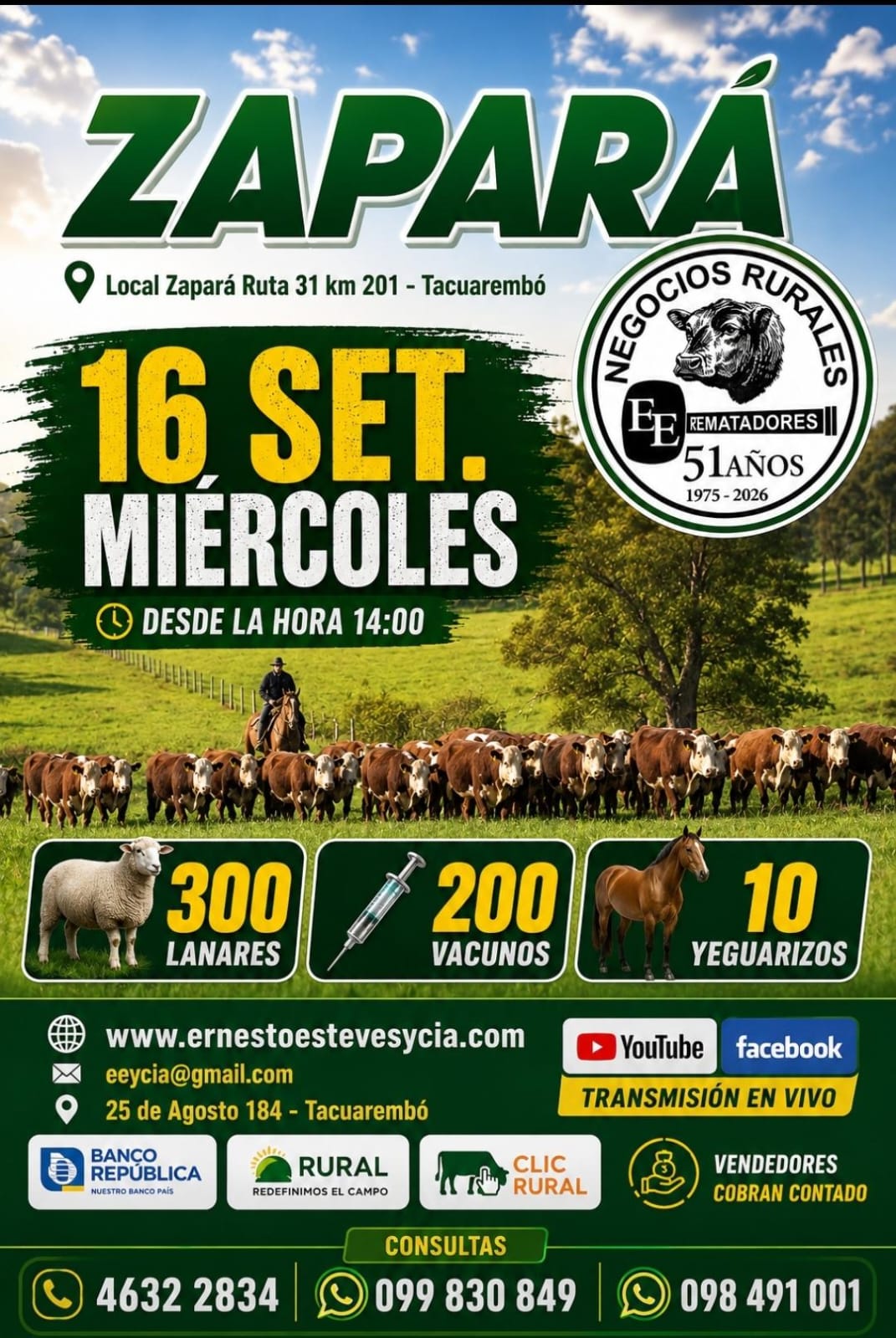 Afiche Feria mensual - Zapará