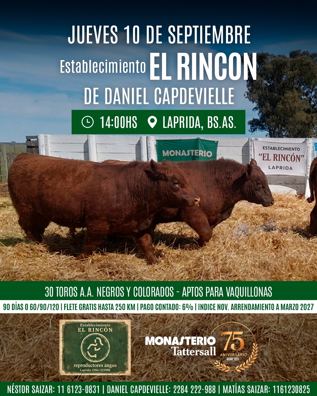 Remate El rincon de Capdeville