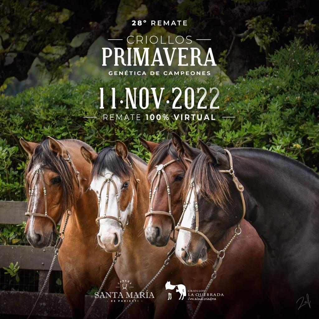 Afiche 28° CRIOLLOS PRIMAVERA