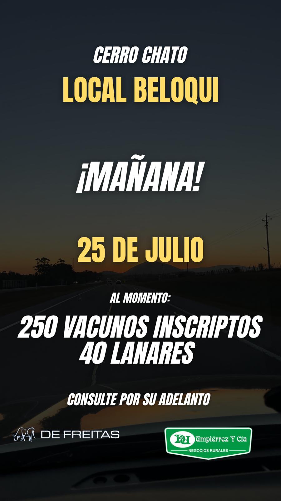 Afiche Feria Mensual - Local Beloqui