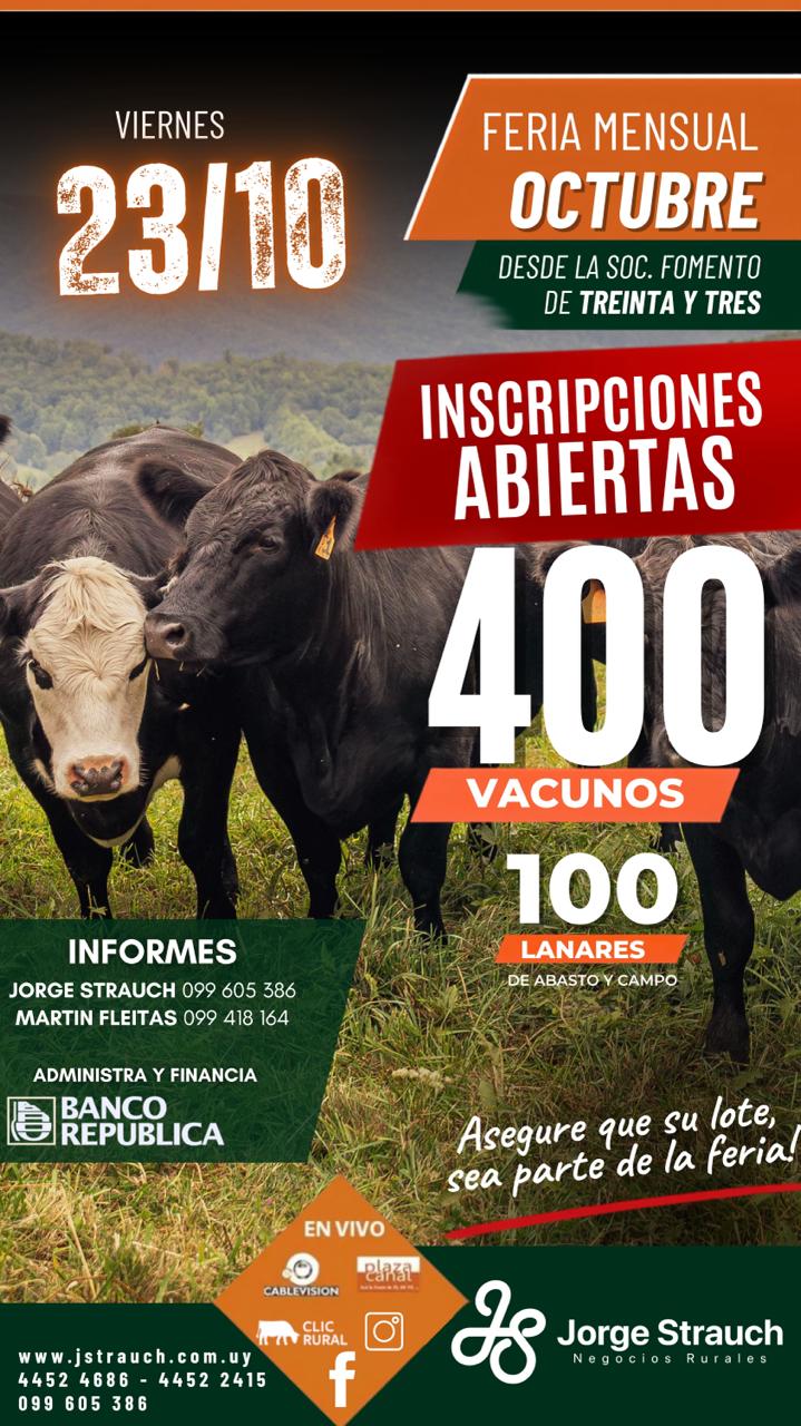 Afiche Feria mensual - Jorge Strauch