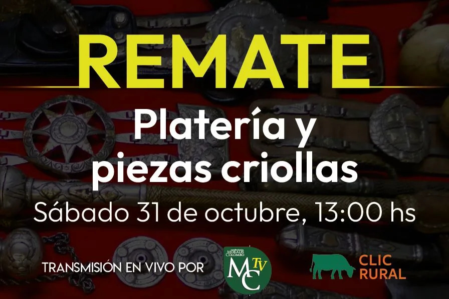 Afiche Remate de plateria y piezas