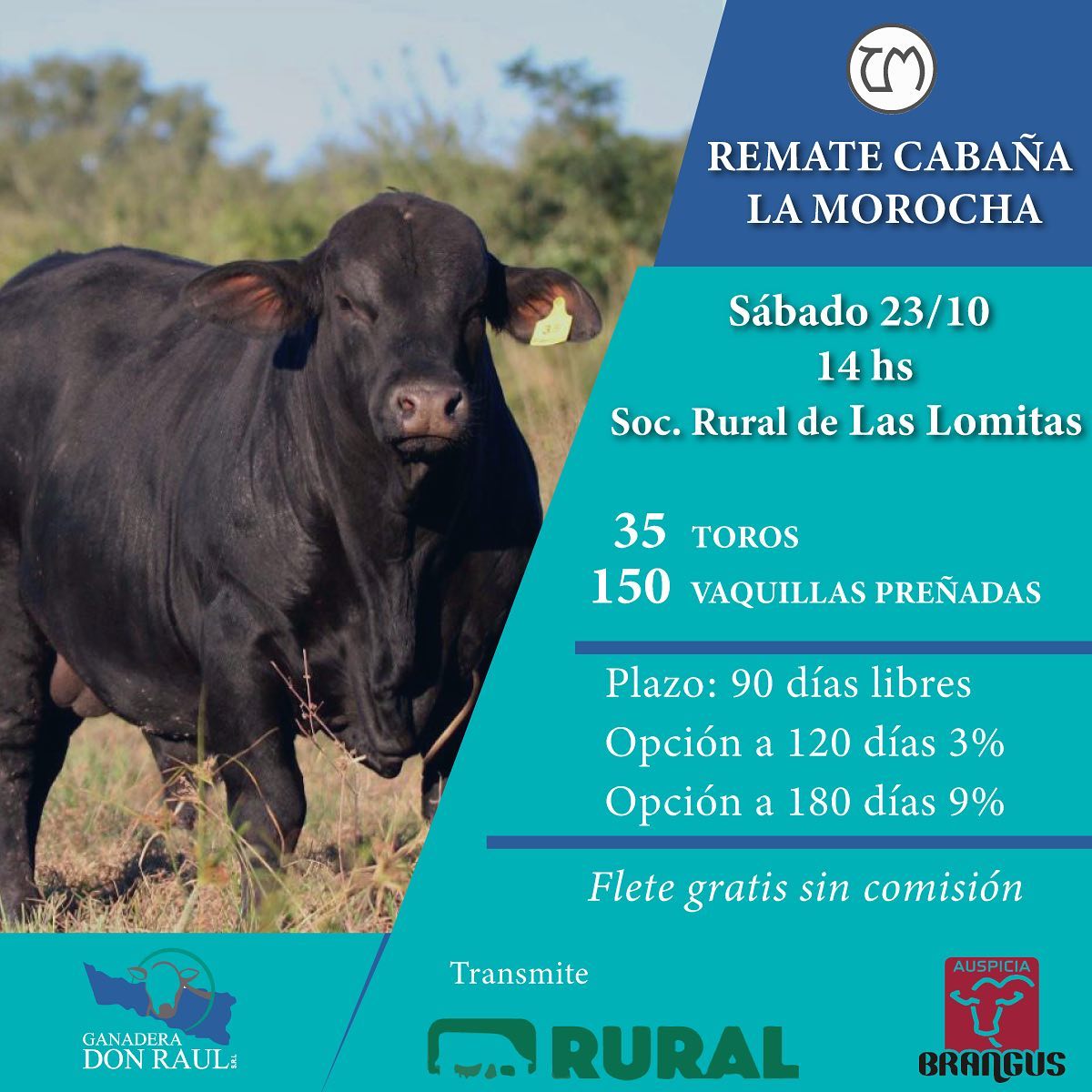 Afiche 11° Remate Anual - Cabaña La Morocha de Ovidio Otero S.A.