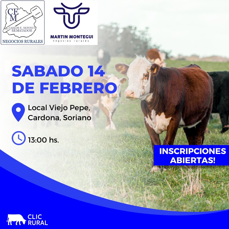 Remate Feria en Local Viejo Pepe