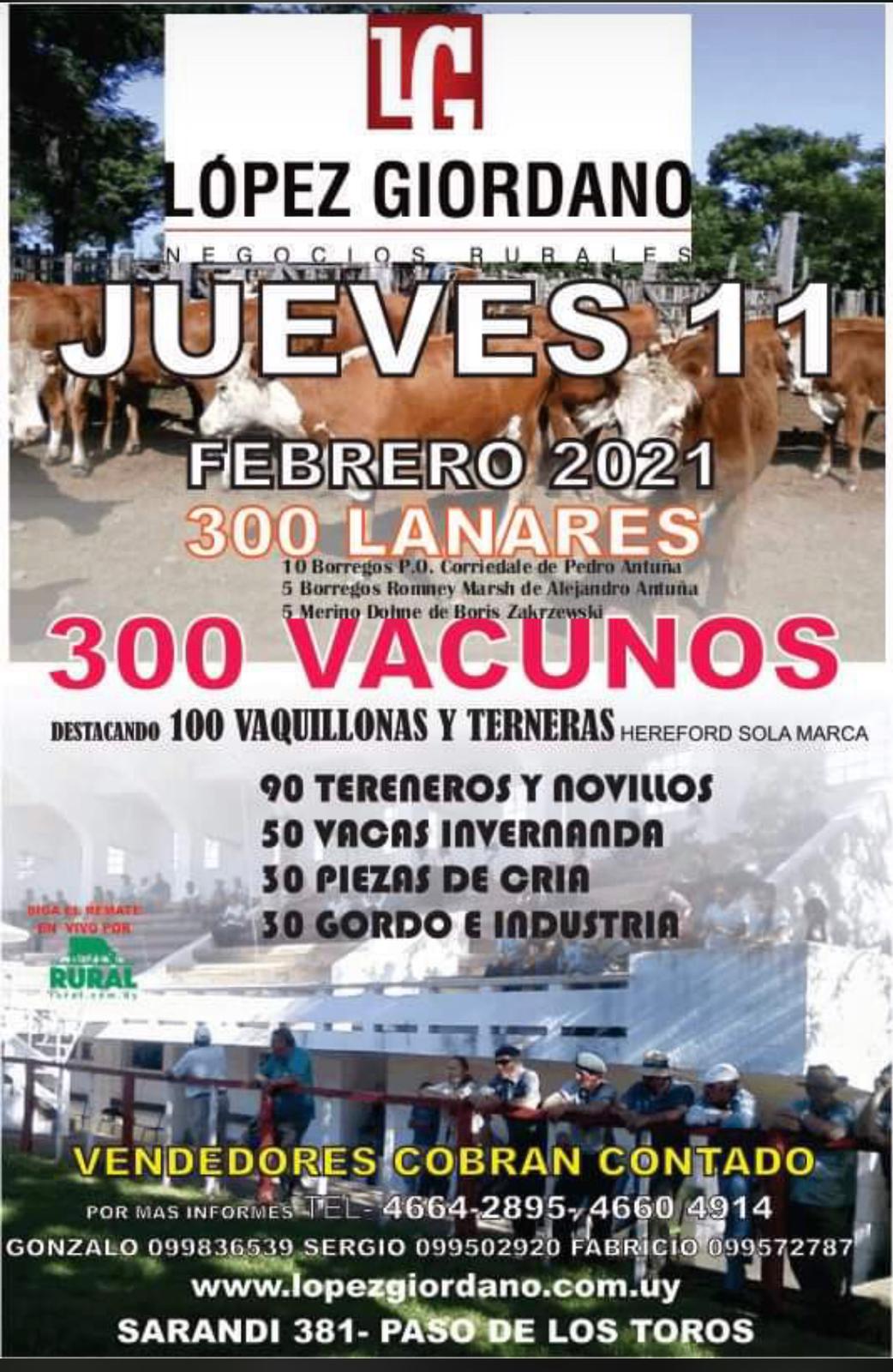 Afiche