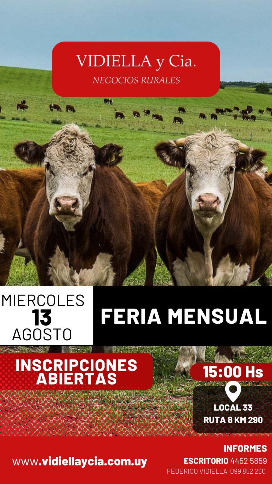 Feria mensual - Vidiella Y Cia