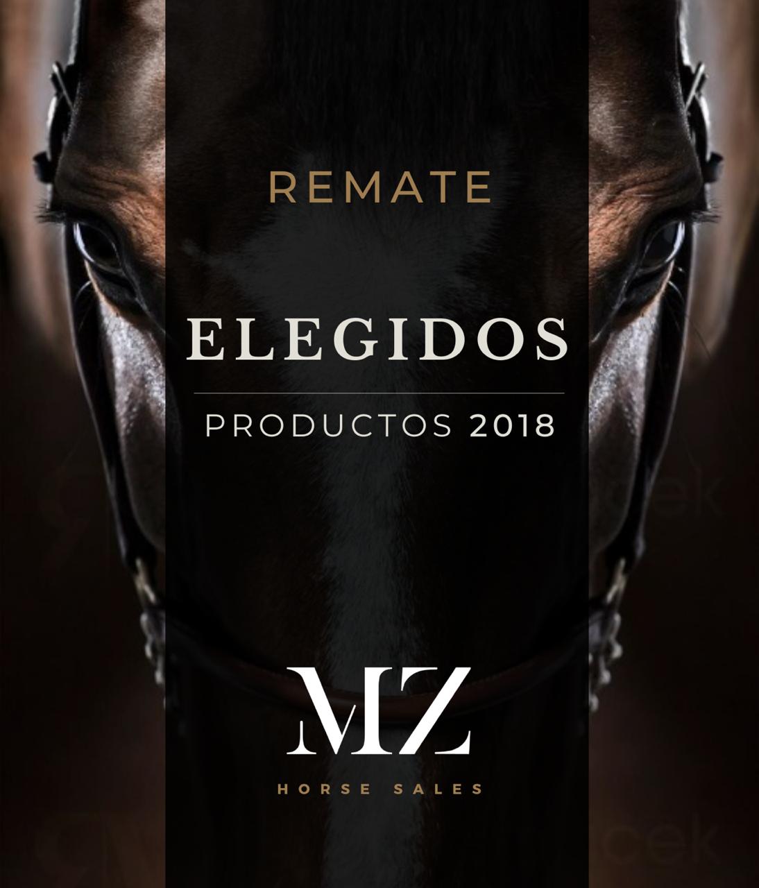 Afiche 1° Remate de SPC (Sangre Pura de Carrera)