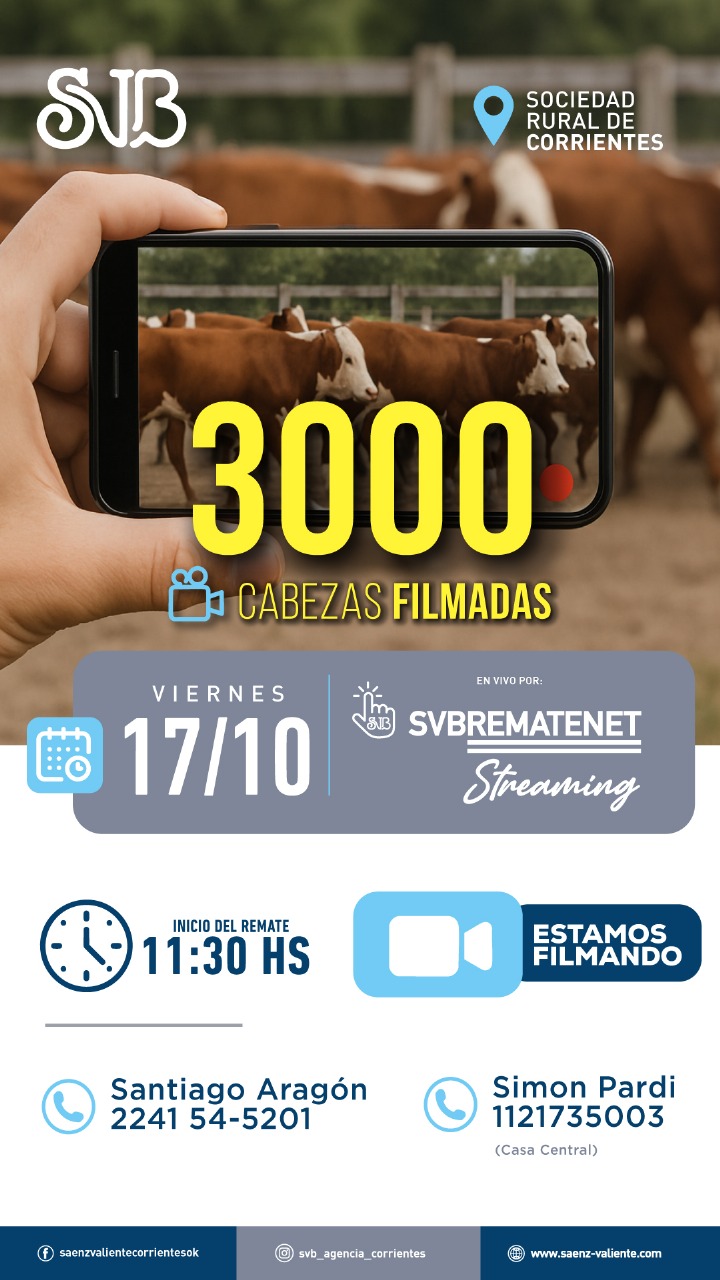 232° RematV