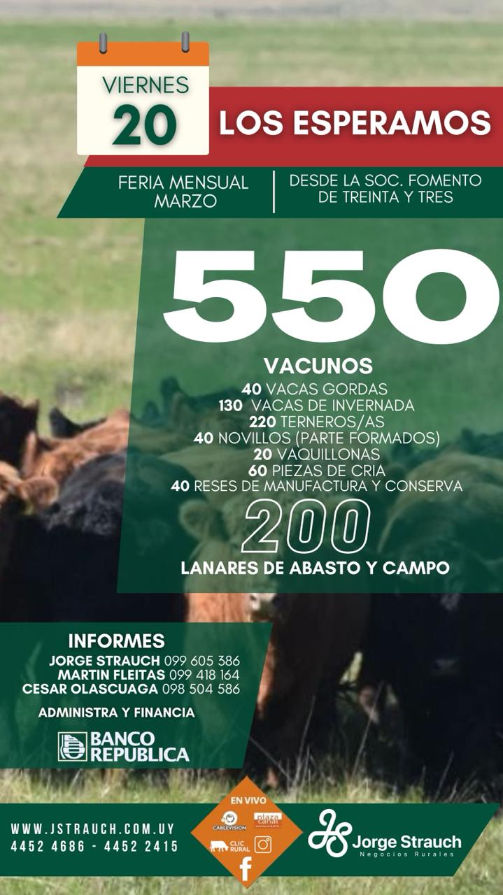 Feria Mensual - Jorge Strauch