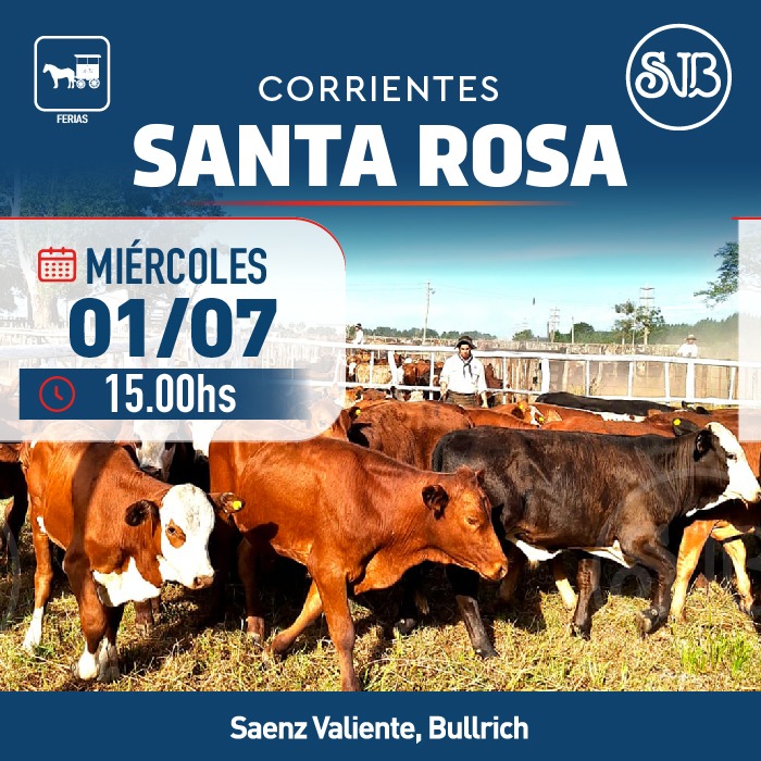 Feria en Santa Rosa