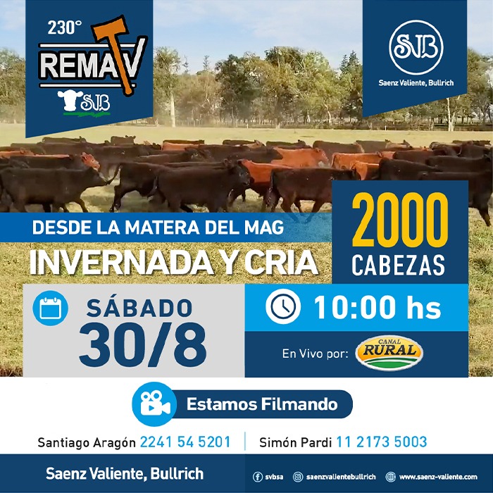 230° RematV