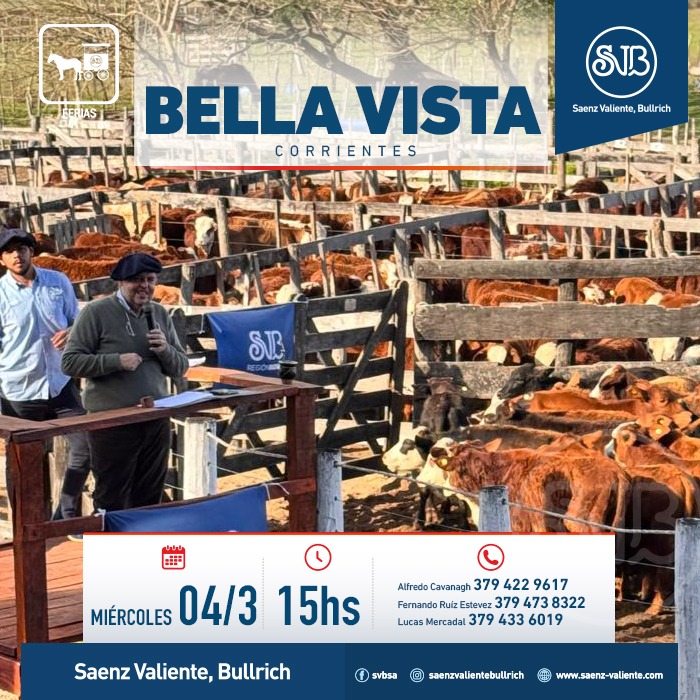 Feria en Bella Vista