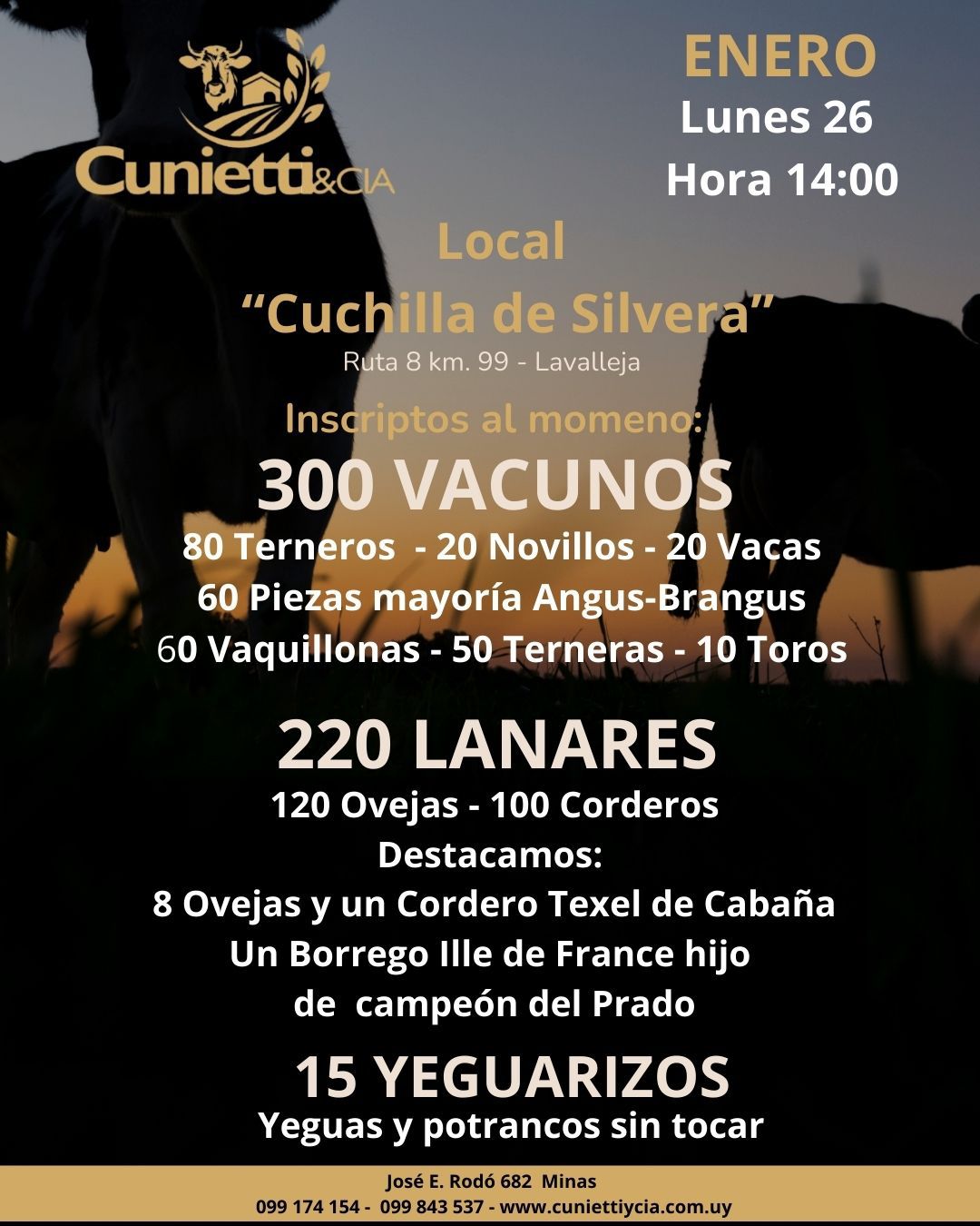 Remate Feria Mensual - Cunietti y Cia