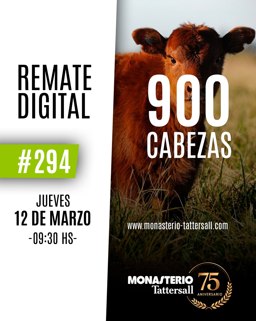 Remate digital 294°