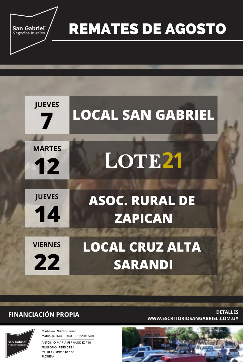 Afiche Feria Mensual - Cruz Alta Sarandi