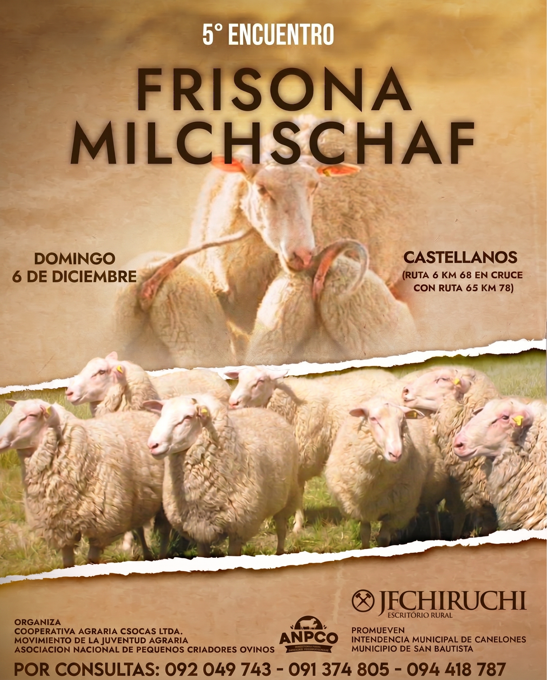Afiche 5to Encuentro de Frisona Milchschaf