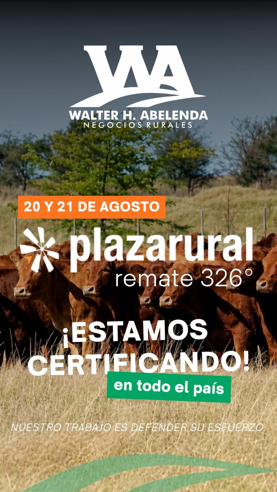 326º remate Plaza Rural
