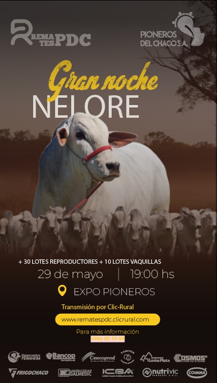 Remate Gran Noche Nelore / PDC