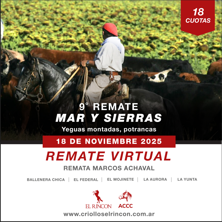 9° Remate Mar y Sierras