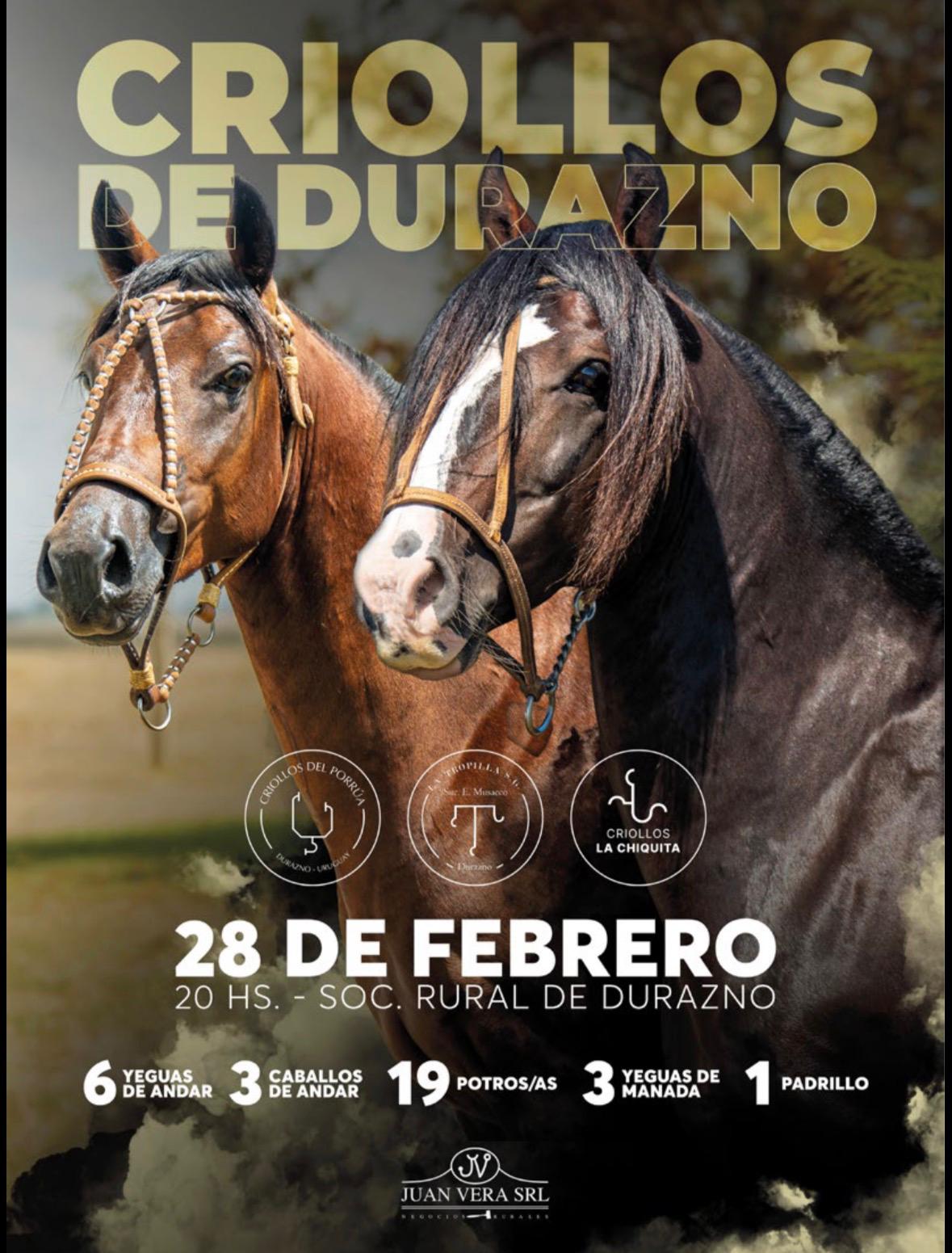 Afiche Criollos de Durazno