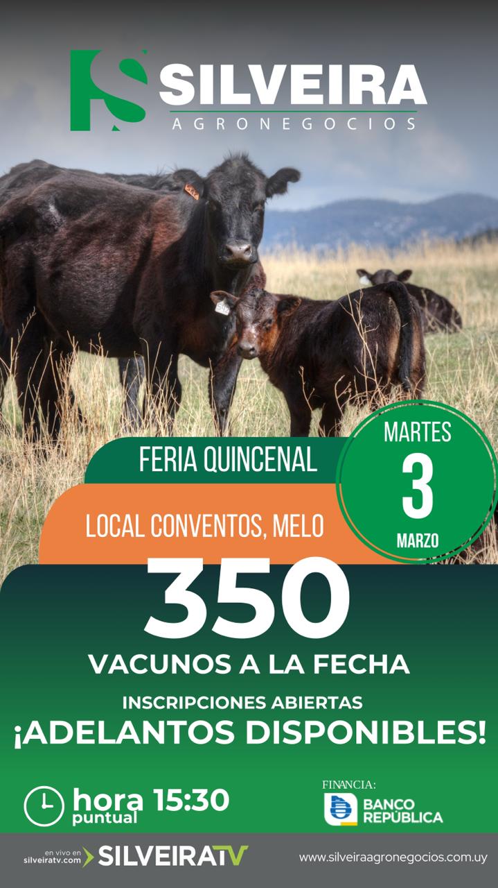 Feria Quincenal - Silveira Agronegocios