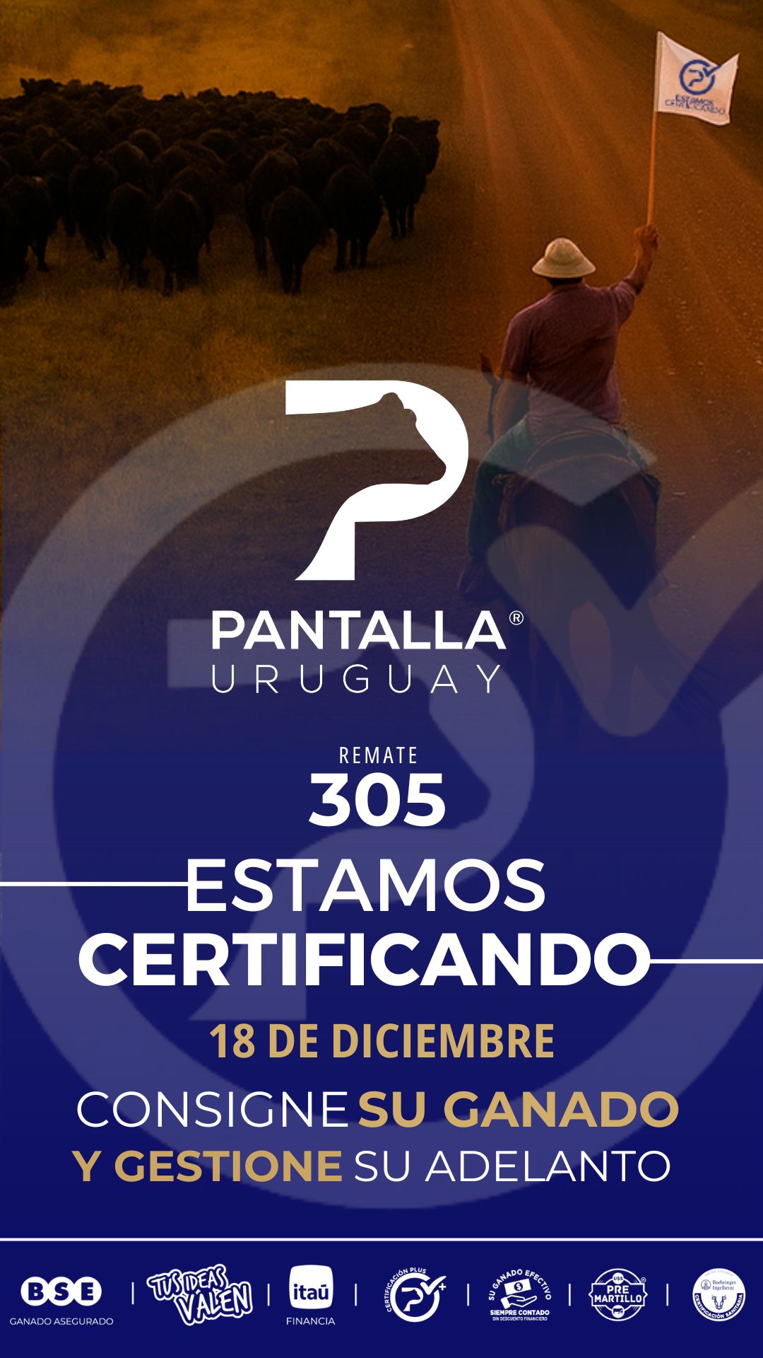 305º remate Pantalla Uruguay