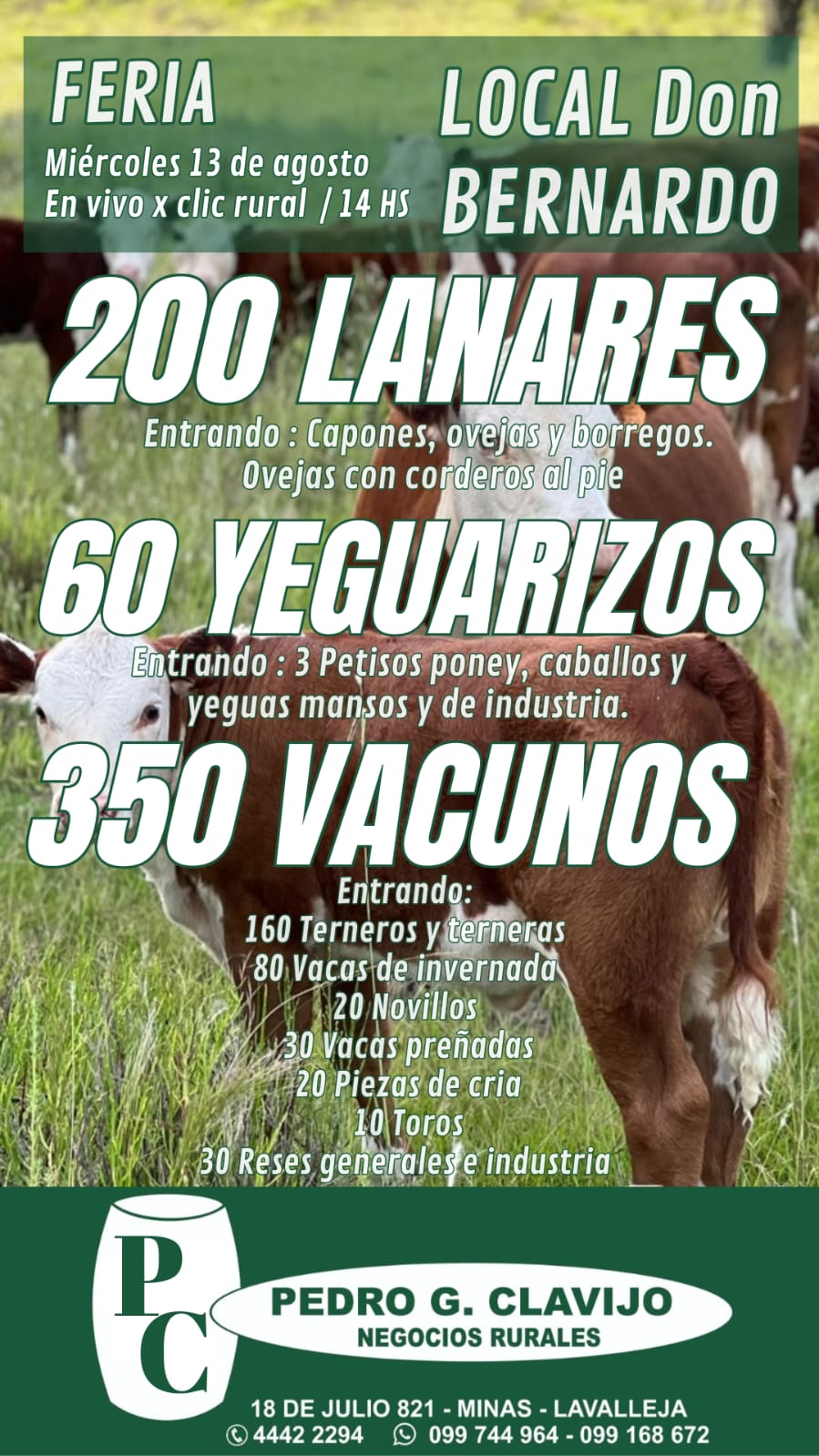 Remate Feria Mensual - Pedro G Clavijo