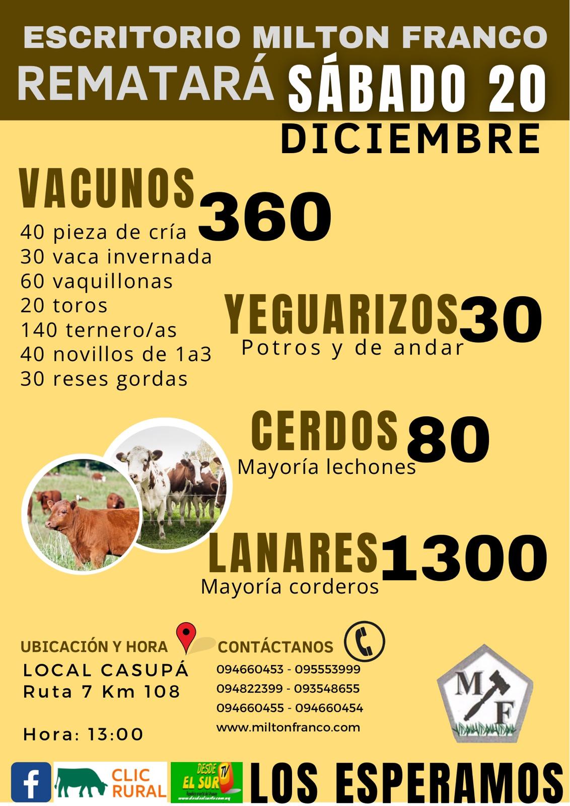 Afiche Feria Mensual - Milton Franco