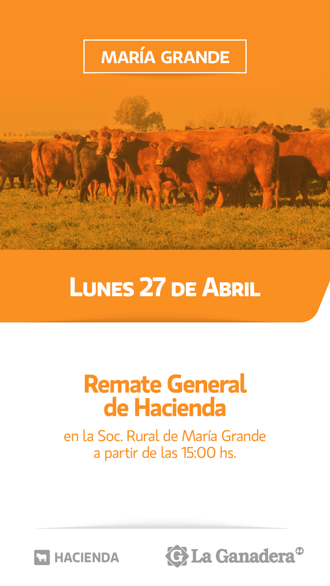 Remate REMATE FERIA EN SOCIEDAD RURAL DE MARÍA GRANDE