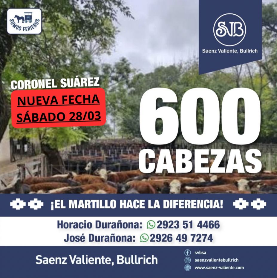 Feria en Cnel. Suárez