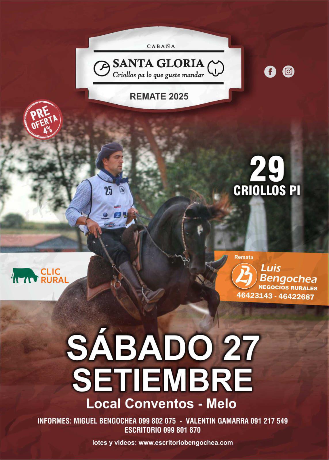 Remate Cabaña Santa Gloria