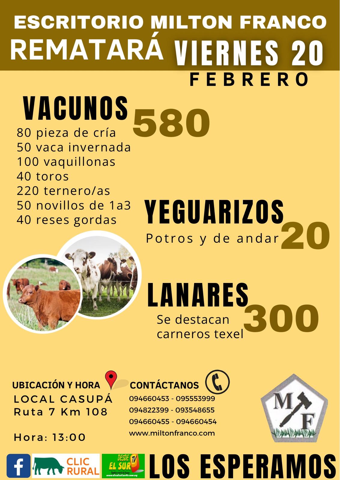 Feria Mensual - Milton Franco