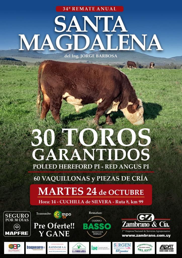 Afiche 34° Remate Anual Santa Magdalena