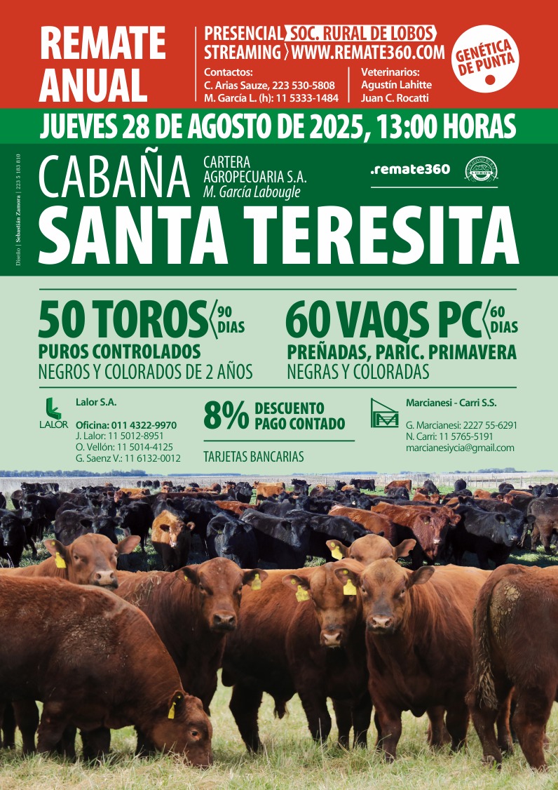 Cabaña Santa Teresita de Miguel García Labougle