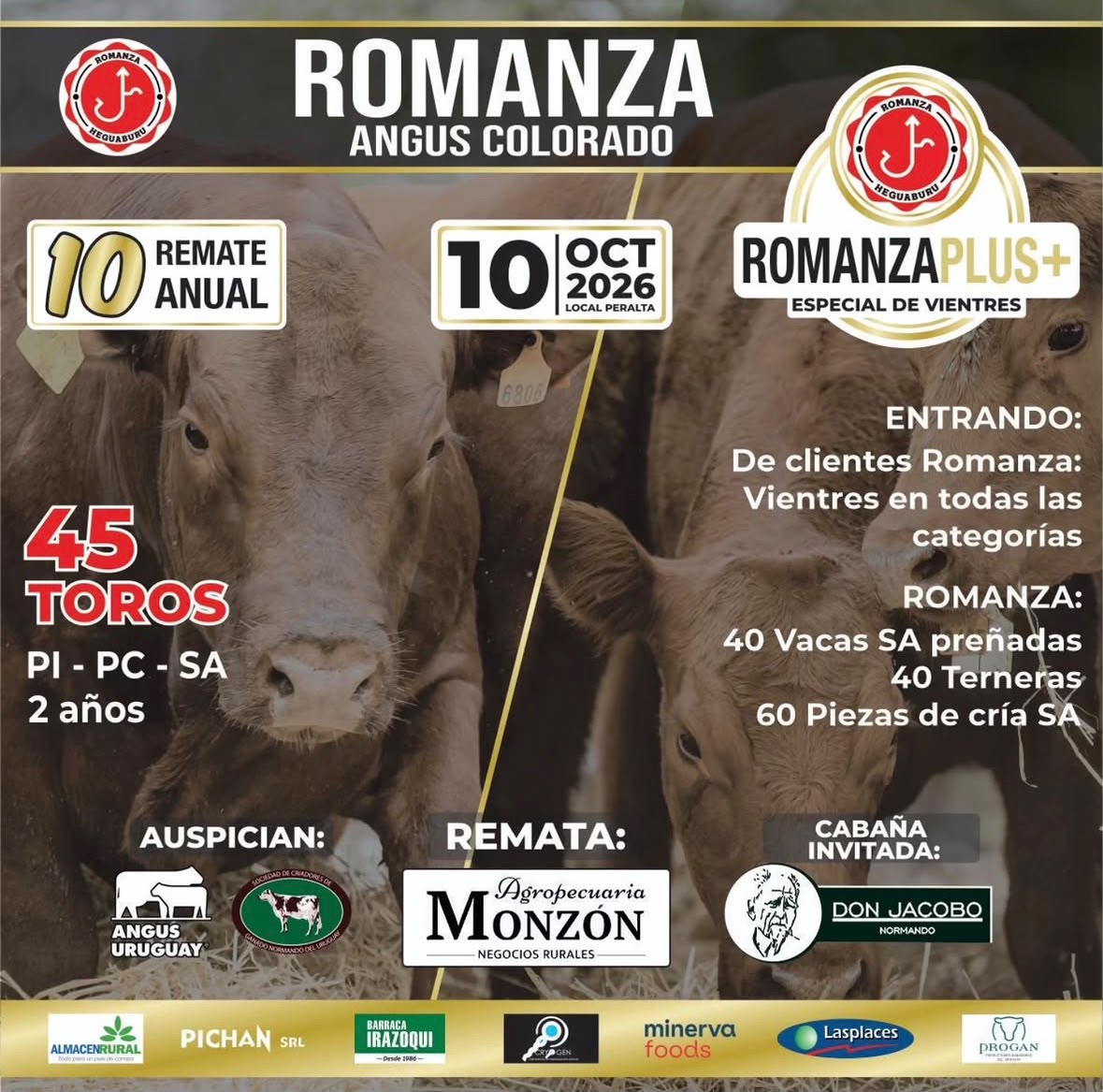 Remate 10º Remate Anual - Romanza