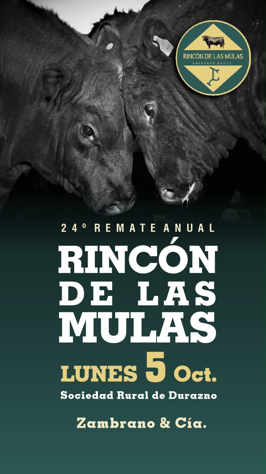 Rincon de las Mulas